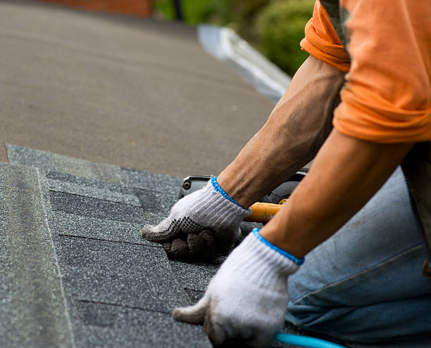 Roof Gutter Cleaning in Monroe, OH